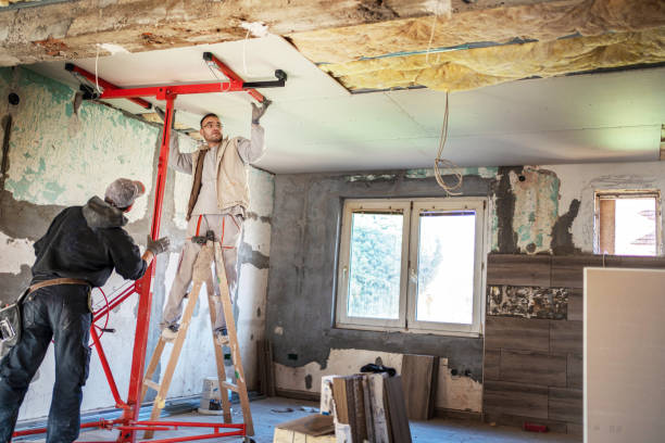 Best Spray Foam Insulation  in Carrollton, IL