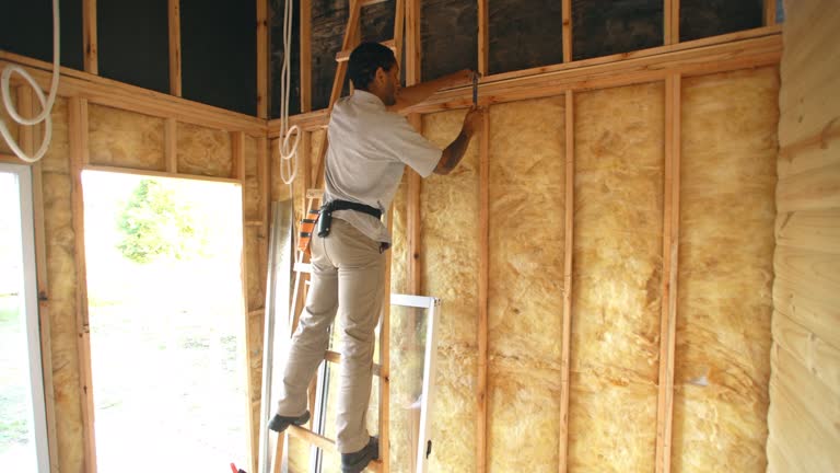 Best Garage Insulation  in Carrollton, IL