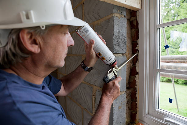 Best Insulation Air Sealing  in Carrollton, IL