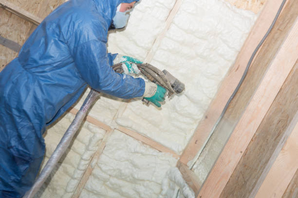 Best Batt and Roll Insulation  in Carrollton, IL